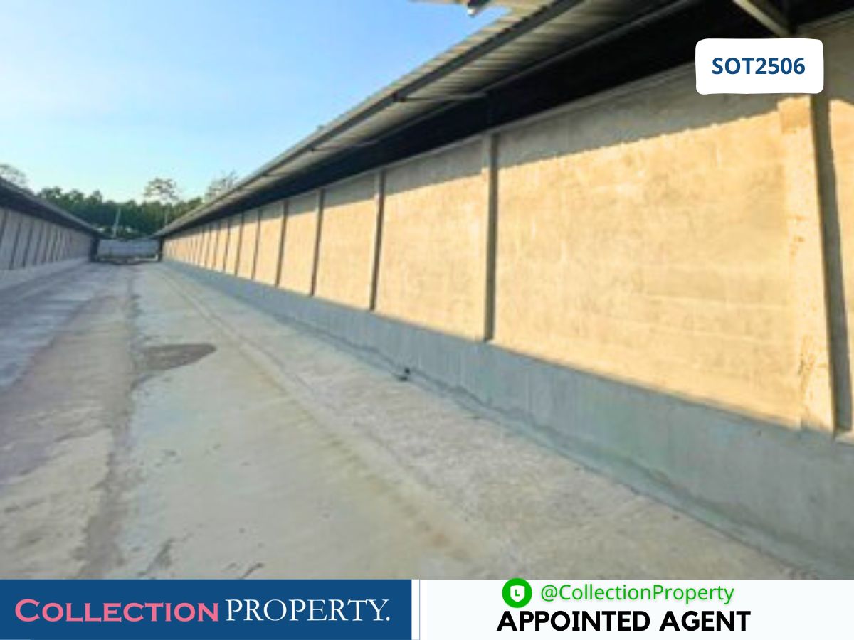 For SaleFactoryPrachin Buri : 🔥 For Sale: Newly Built Closed-System Broiler Chicken Farm – Ready to Operate