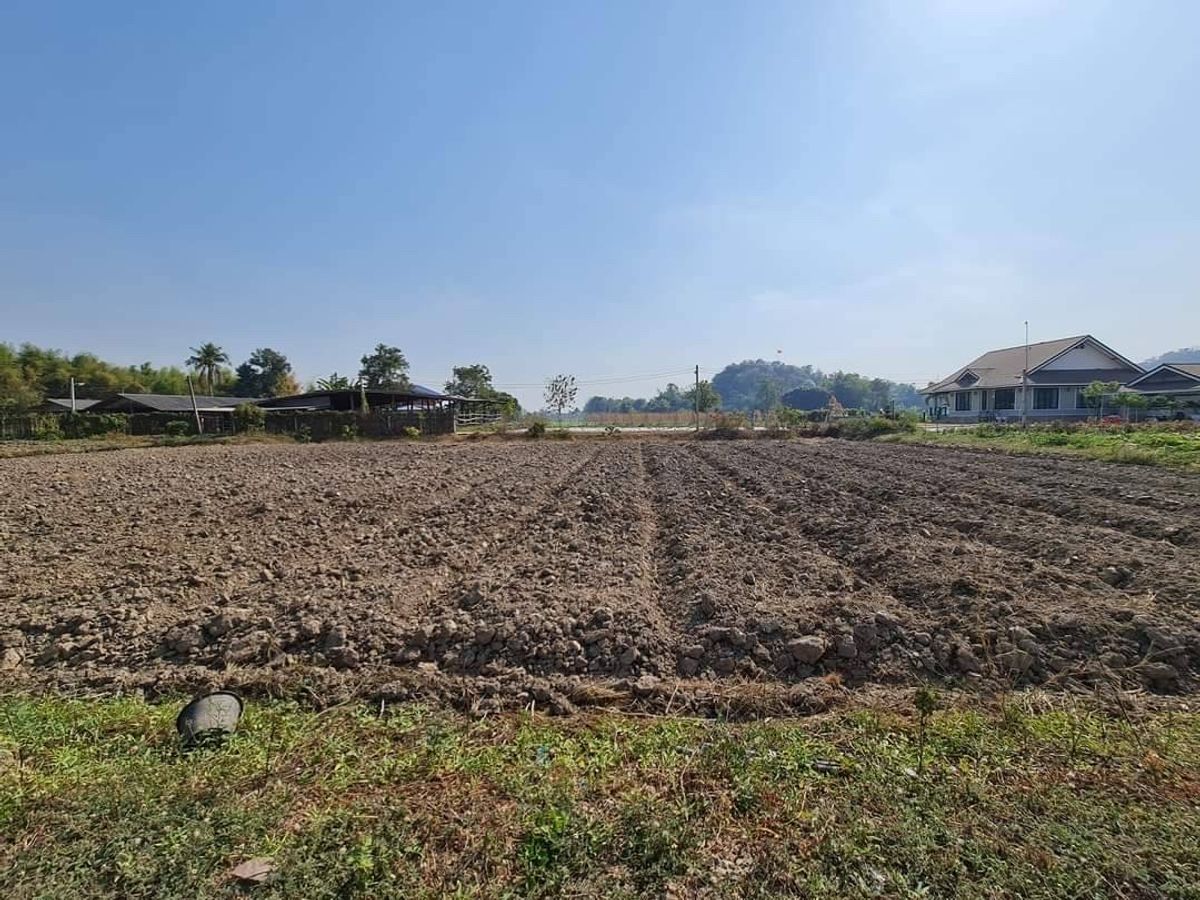 For SaleLandRatchaburi : Land for sale in the corner of the road, 3 side, electricity, groundwater, ready to use land investment in Ratchaburi