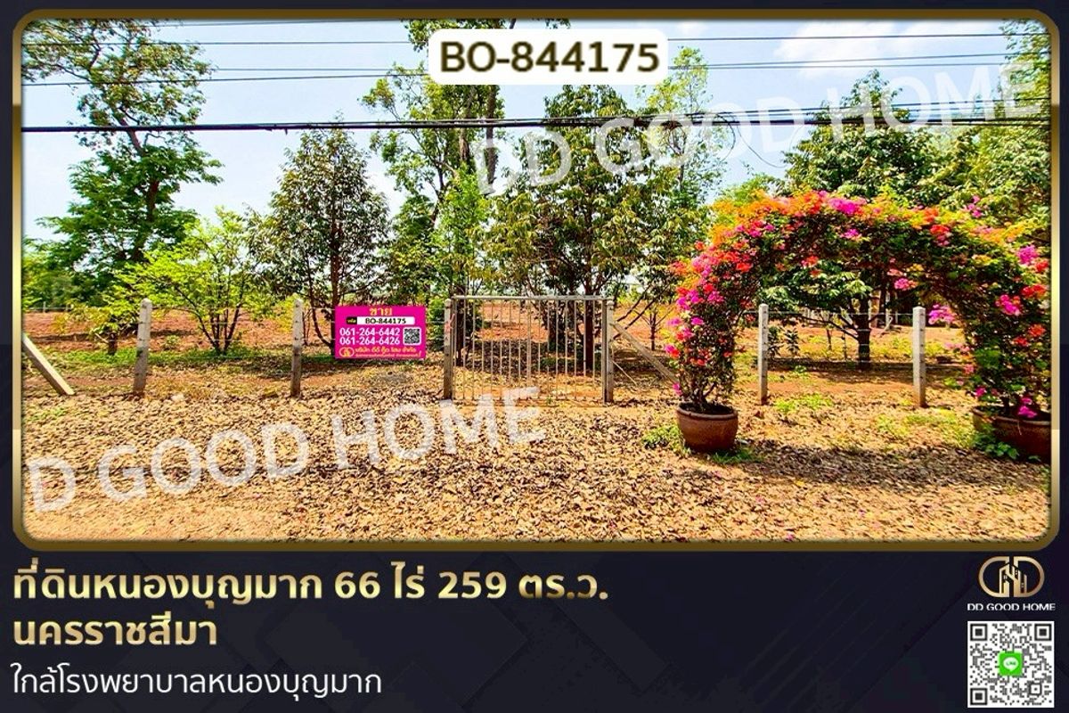 ขายที่ดินโคราช นครราชสีมา : BO-844175 ที่ดินหนองบุญมาก 66 ไร่ 259 ตร.ว. นครราชสีมา ใกล้โรงพยาบาลหนองบุญมาก
