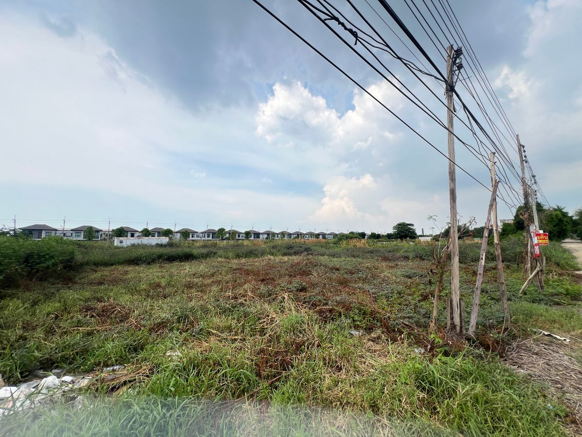 For SaleLandPathum Thani,Rangsit, Thammasat : Land for sale. Forming 4 canals, Lam Luk Ka 100 square wah, cheap price, free transfer.