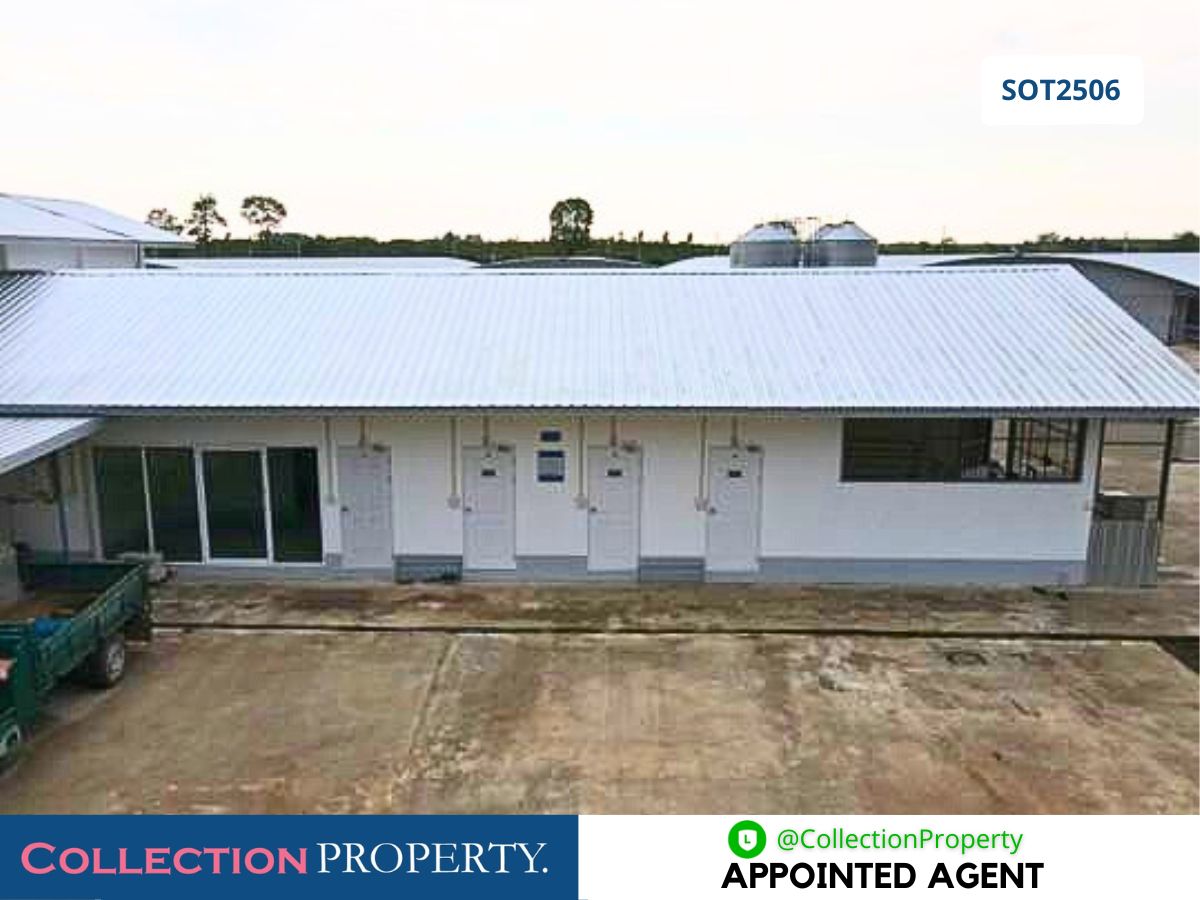 For SaleFactoryPrachin Buri : 🔥 For Sale: Newly Built Closed-System Broiler Chicken Farm – Ready to Operate
