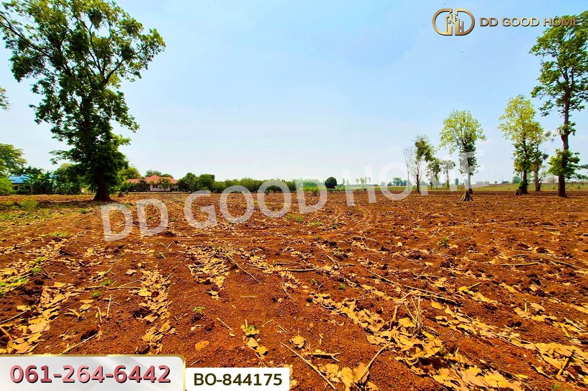 ขายที่ดินโคราช นครราชสีมา : BO-844175 ที่ดินหนองบุญมาก 66 ไร่ 259 ตร.ว. นครราชสีมา ใกล้โรงพยาบาลหนองบุญมาก