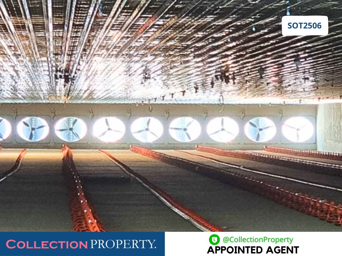 For SaleFactoryPrachin Buri : 🔥 For Sale: Newly Built Closed-System Broiler Chicken Farm – Ready to Operate