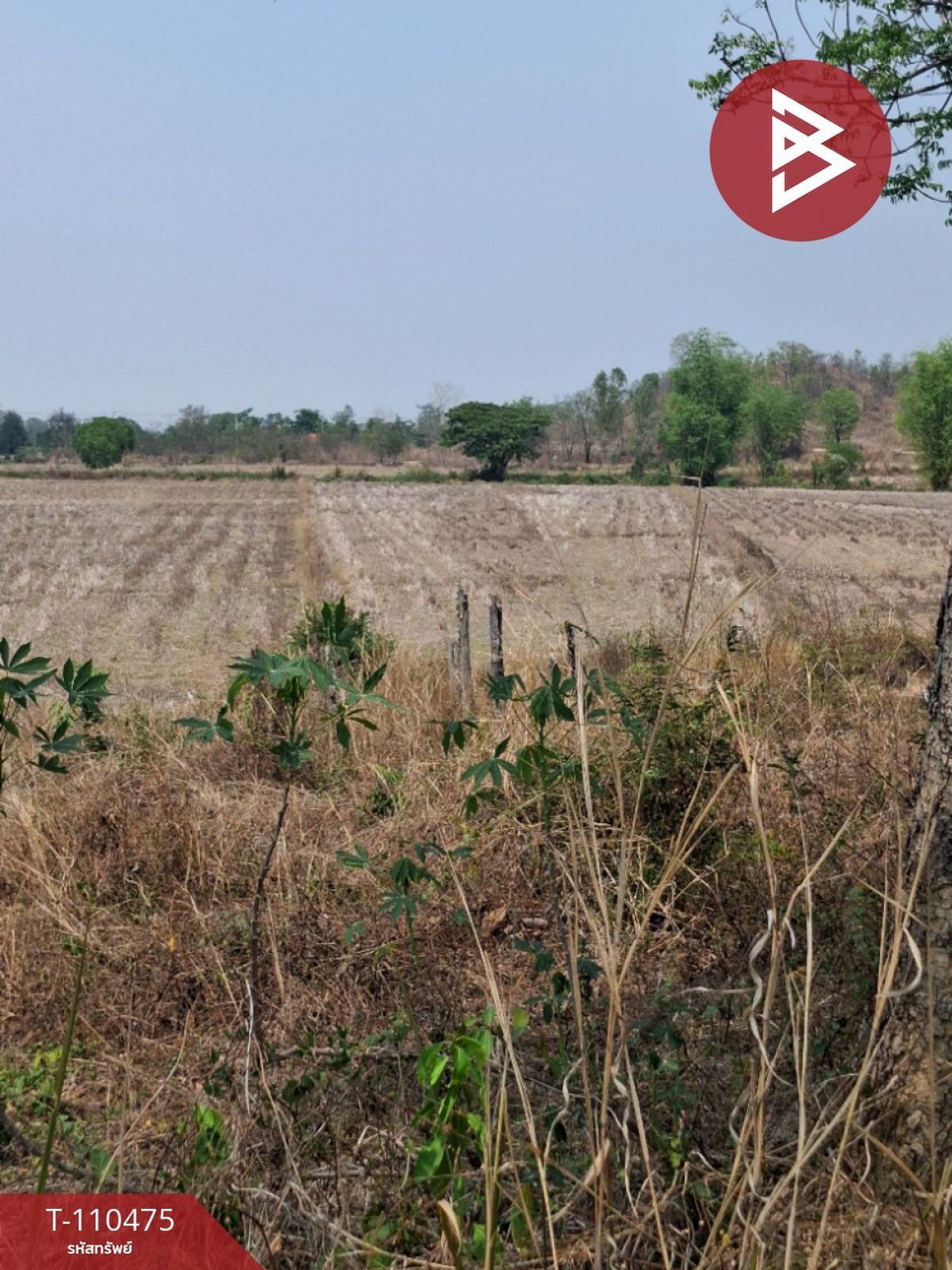 For SaleLandChiang Rai : Land for sale in an area of ​​4 rai 20.6 sq.w., Chiang Rai