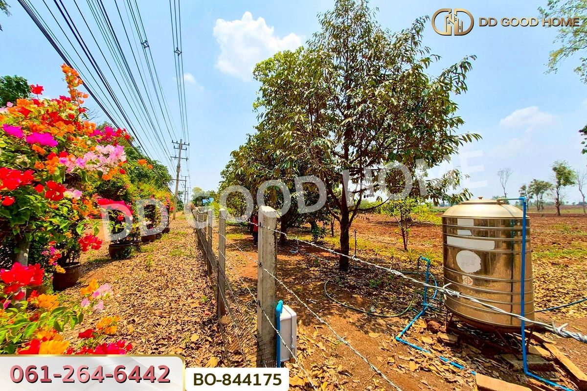 ขายที่ดินโคราช นครราชสีมา : BO-844175 ที่ดินหนองบุญมาก 66 ไร่ 259 ตร.ว. นครราชสีมา ใกล้โรงพยาบาลหนองบุญมาก