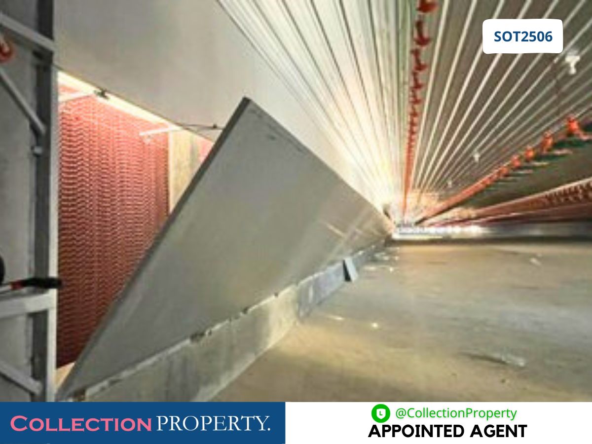 For SaleFactoryPrachin Buri : 🔥 For Sale: Newly Built Closed-System Broiler Chicken Farm – Ready to Operate