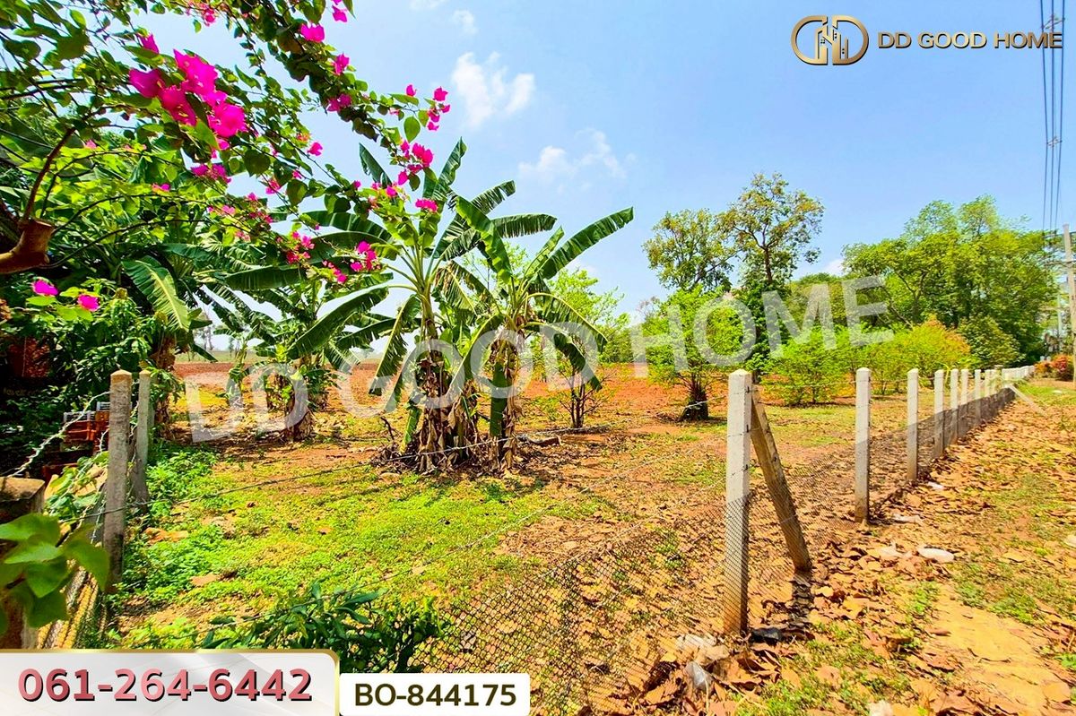 ขายที่ดินโคราช นครราชสีมา : BO-844175 ที่ดินหนองบุญมาก 66 ไร่ 259 ตร.ว. นครราชสีมา ใกล้โรงพยาบาลหนองบุญมาก