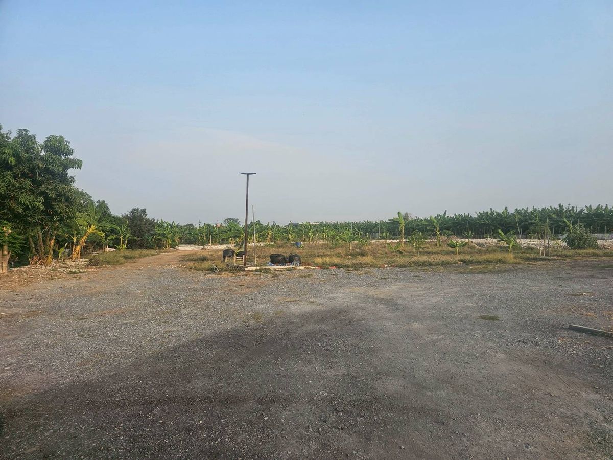 For SaleLandPattanakan, Srinakarin : Land for Sale 200 Sq. Wah in Soi Srinakarin-Romklao 42, Krungthep Kreetha Road, Near The Paseo Mall