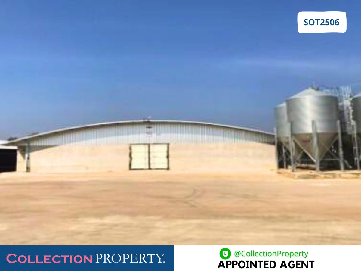 For SaleFactoryPrachin Buri : 🔥 For Sale: Newly Built Closed-System Broiler Chicken Farm – Ready to Operate