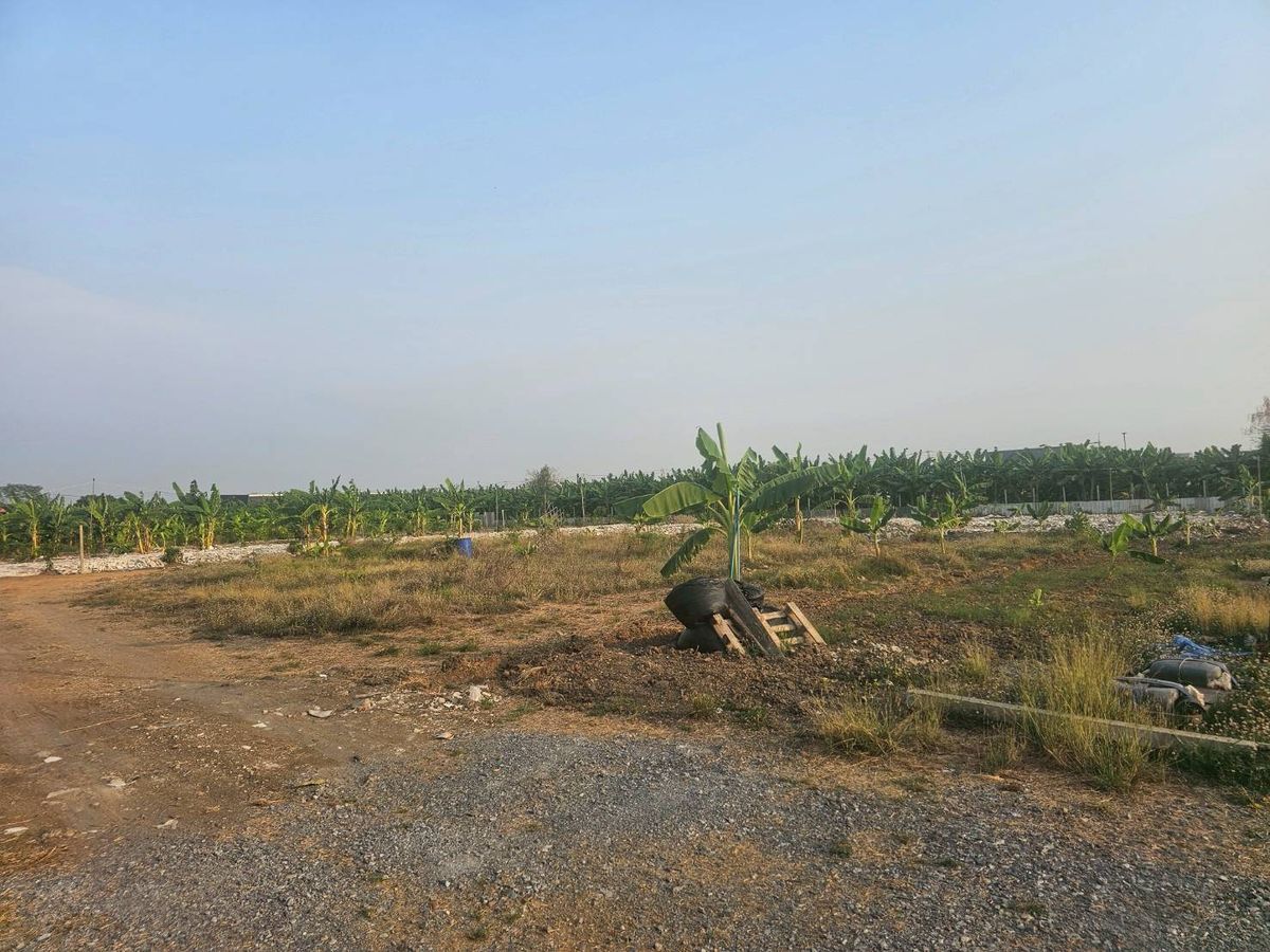 For SaleLandPattanakan, Srinakarin : Land for Sale 100 Sq. Wah in Soi Srinakarin-Romklao 42, Krungthep Kreetha Road, Near The Paseo Mall