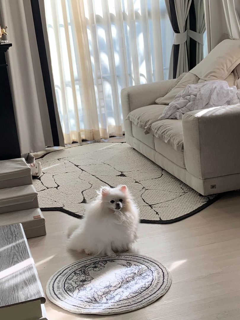 ให้เช่าทาวน์โฮมมีนบุรี-ร่มเกล้า : 🔥ให้เช่าด่วน🔥หมู่บ้านอณาสิริ รามคำแหง หมู่บ้านใหม่ ตกแต่งเสร็จพร้อมเข้าอยู่ เพื่อนบ้านดี (บ้านใหม่มาก เจ้าของเริ่มเข้าอยู่เองไม่ถึงปี) 