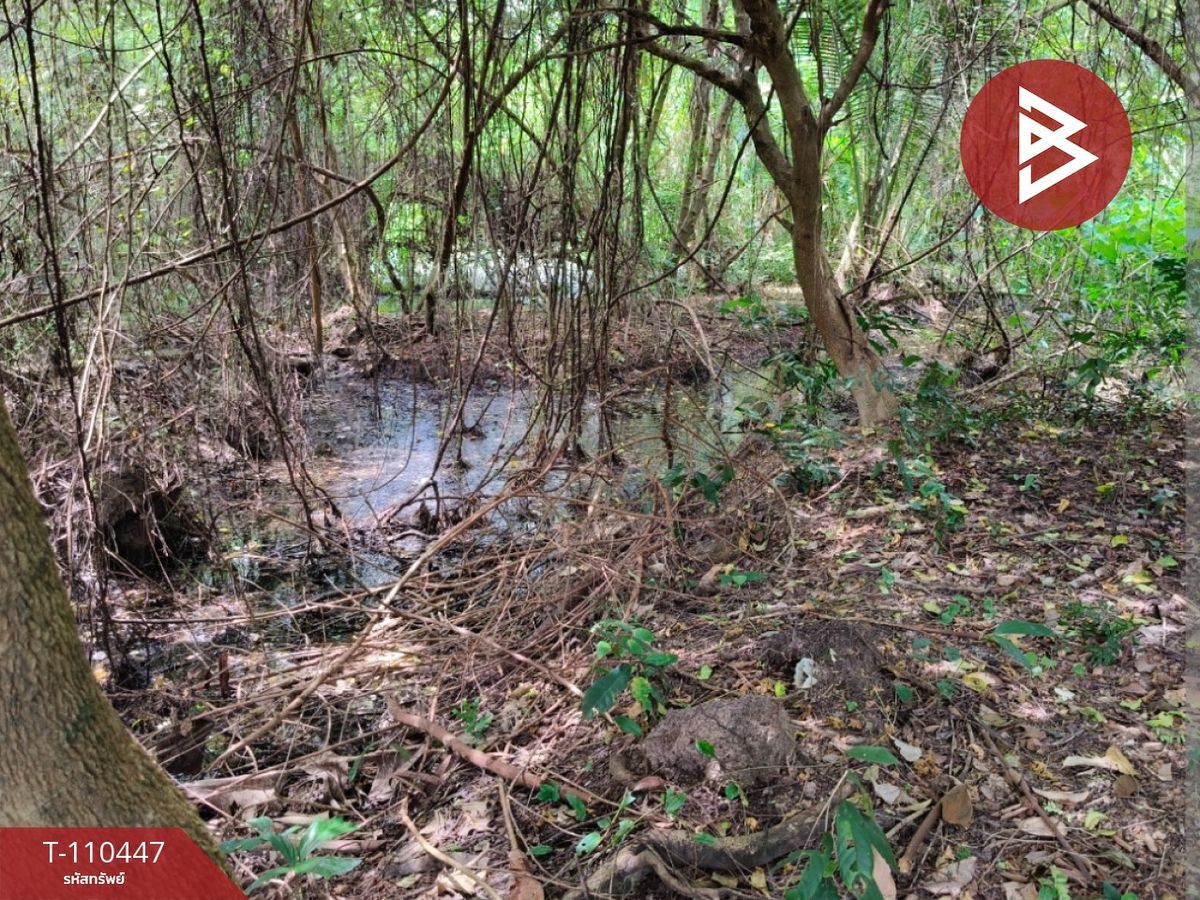 For SaleLandChanthaburi : Land for sale on the road, area of ​​1 rai 3 ngan 89 sq.wah, Laem Sing, Chanthaburi