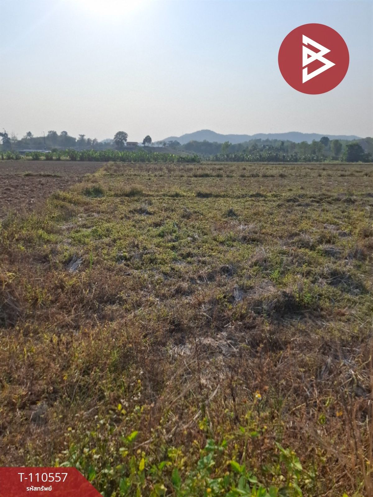 For SaleLandChiang Rai : Land for sale, area of ​​3 rai 3 ngan 73 sq.w., Chiang Rai