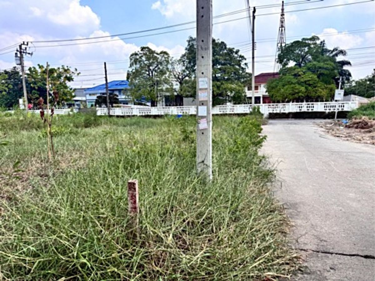 ขายที่ดินลาดกระบัง สุวรรณภูมิ : ขายที่ดิน เฉลิมพระเกียรติ ร.9 ซอย 38 (ซอยร่มเย็น) ที่ถมแล้วแปลงมุม (N.1698)