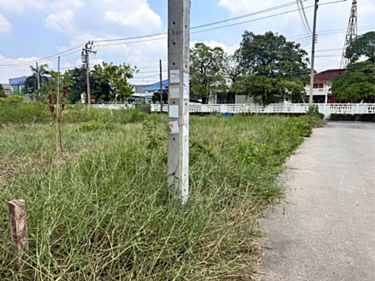 ขายที่ดินลาดกระบัง สุวรรณภูมิ : ขายที่ดิน เฉลิมพระเกียรติ ร.9 ซอย 38 (ซอยร่มเย็น) ที่ถมแล้วแปลงมุม (N.1698)