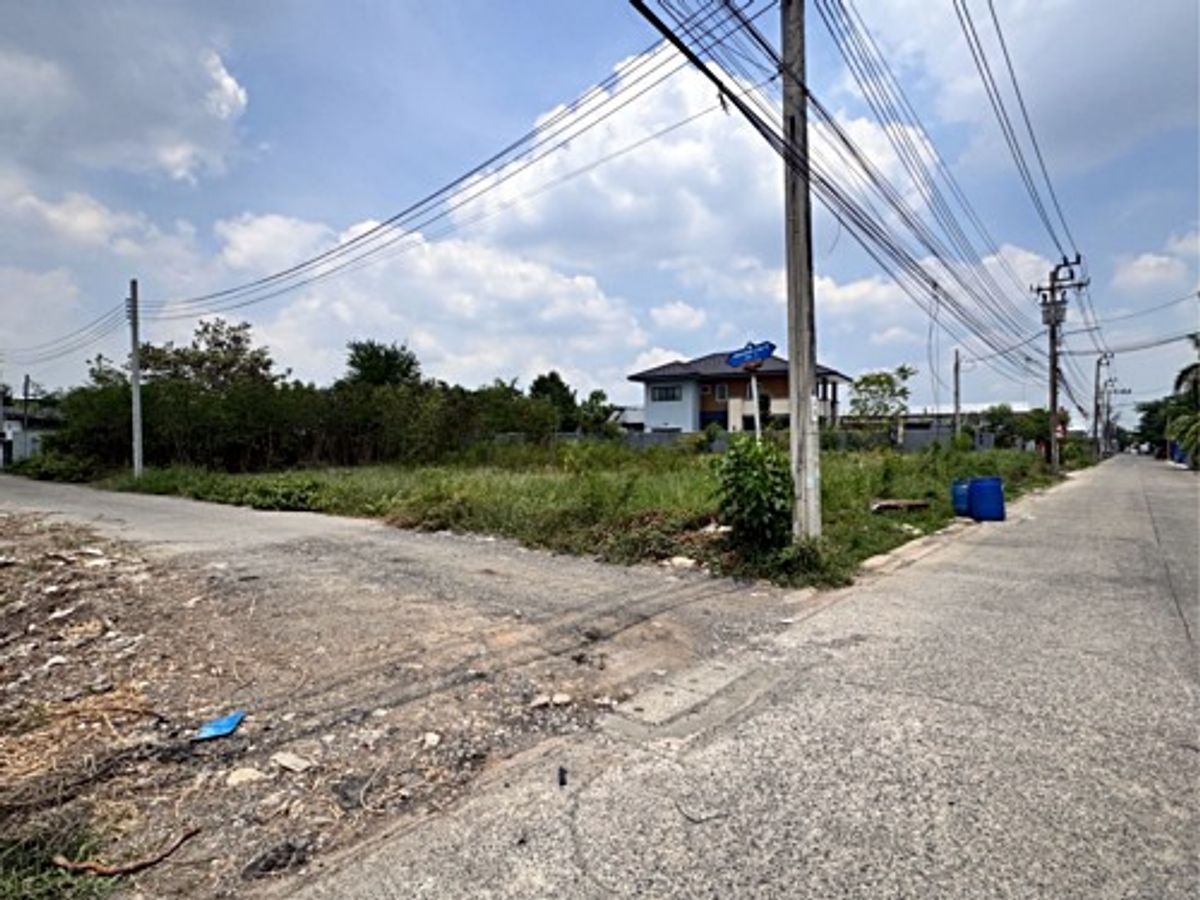 ขายที่ดินลาดกระบัง สุวรรณภูมิ : ขายที่ดิน เฉลิมพระเกียรติ ร.9 ซอย 38 (ซอยร่มเย็น) ที่ถมแล้วแปลงมุม (N.1698)