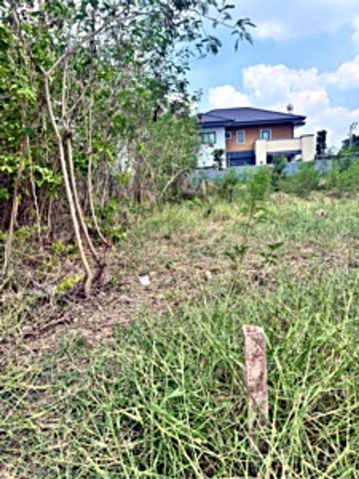 ขายที่ดินลาดกระบัง สุวรรณภูมิ : ขายที่ดิน เฉลิมพระเกียรติ ร.9 ซอย 38 (ซอยร่มเย็น) ที่ถมแล้วแปลงมุม (N.1698)