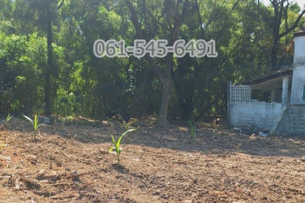 For SaleLandPathum Thani,Rangsit, Thammasat : Land for sale, Kritsa Nakorn 29, Soi Khlong Luang, 26, corner, 85 sq.wah, suitable for building a house Selling as much as an assessment price
