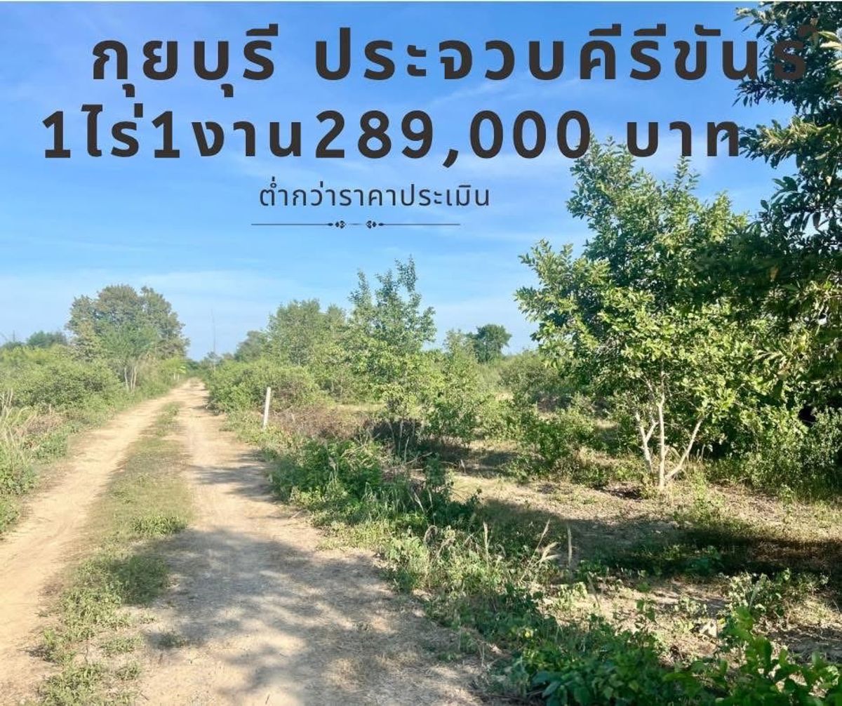 For SaleLandHuahin, Prachuap Khiri Khan, Pran Buri : Land is lower than the price of Kui Buri, Prachuap Khiri Khan, size 1 rai 1 ngan 289,000 baht.