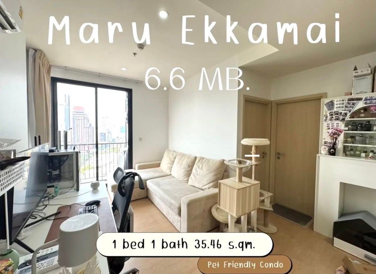 ขายคอนโดสุขุมวิท อโศก ทองหล่อ : 🐶 ขายด่วน Maru Ekkamai | ติด BTS เอกมัย | เลี้ยงสัตว์ได้ 🐱