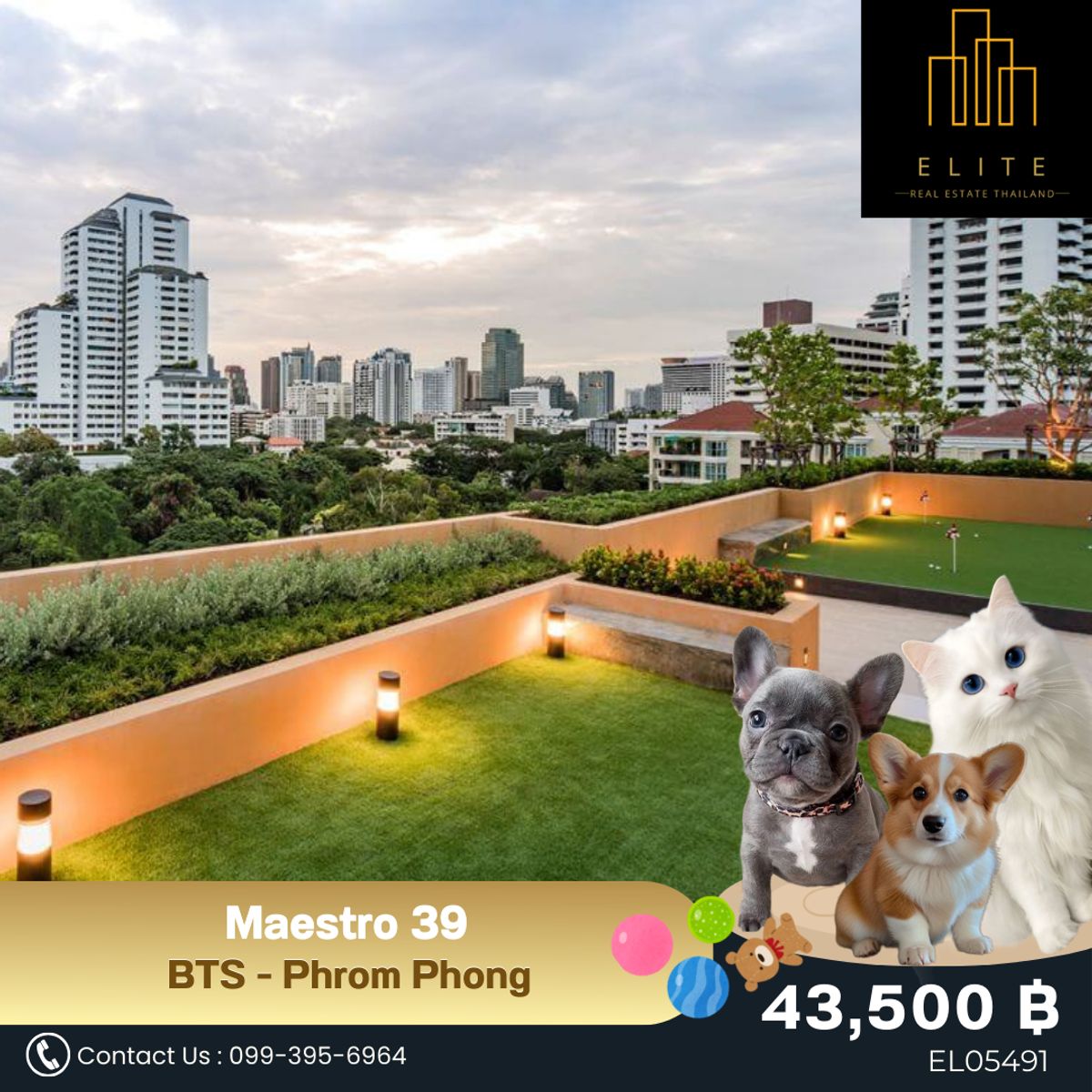 For RentCondoSukhumvit, Asoke, Thonglor : ✨ Empty room ready to rent For the naughty four -legged children. 🐶🐱 My children must be comfortable. ✔