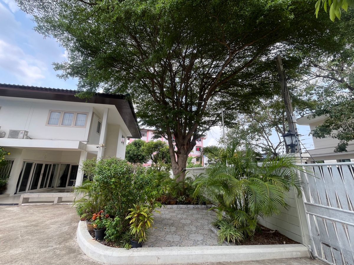 For SaleHousePattanakan, Srinakarin : 💎 The best of rare locations in Seri Villa - Srinakarin 53! Land for sale with home | 229 sq.w. | Only 51 million baht 🔥 This price is later! Cant find anymore !!