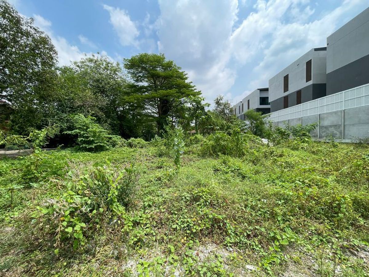 ขายที่ดินเลียบทางด่วนรามอินทรา : LD 0339 ขาย ที่ดินพร้อมบ้านเดี่ยว ซอยโพธิ์แก้ว 3 แยก 16 #ที่ดินซอยโพธิ์แก้ว #ที่ดินบางกะปิ #ที่ดินเกษตรนวมินทร์