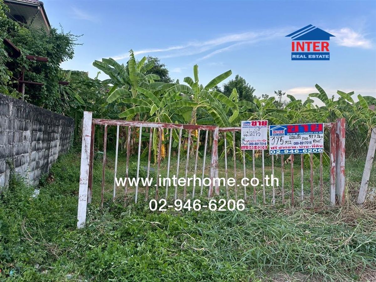 ขายที่ดินแจ้งวัฒนะ เมืองทอง : ที่ดินเปล่า 375 ตร.ว. ที่ดิน ซอยต้นสน6 ใกล้บิ๊กซีเอ็กซ์ต้า แจ้งวัฒนะ-ปากเกร็ด ถนนแจ้งวัฒนะ-ปากเกร็ด20 ปากเกร็ด นนทบุรี