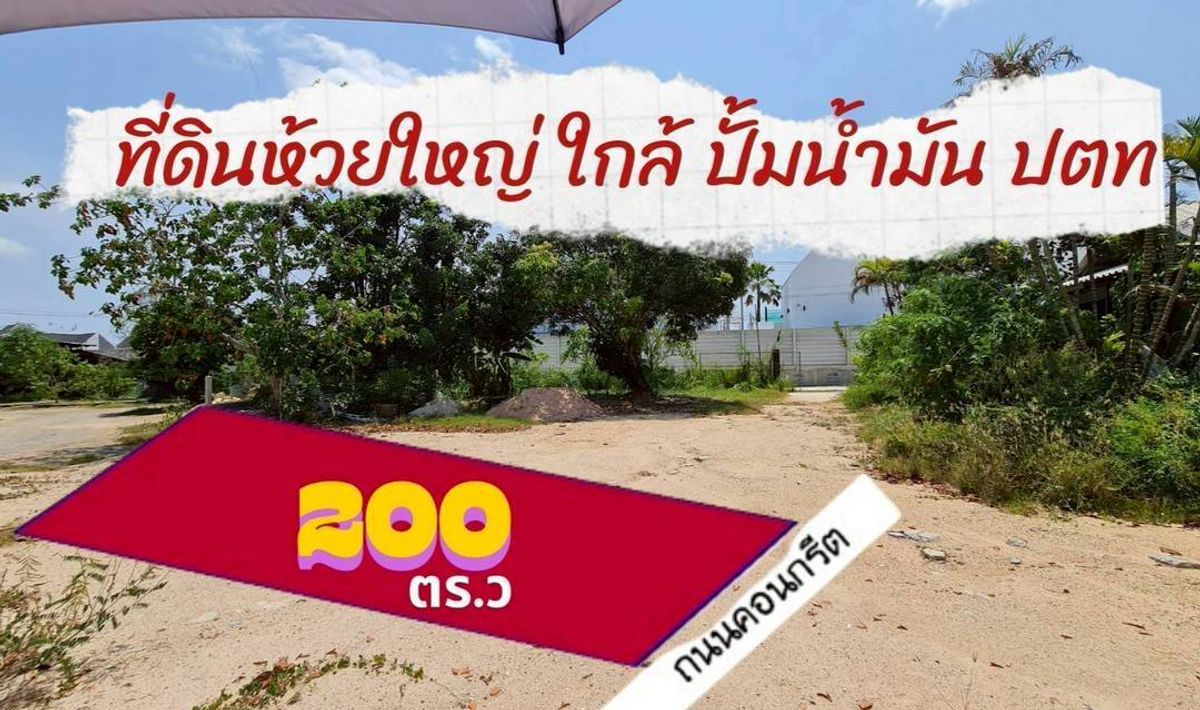 ขายที่ดินพัทยา บางแสน ชลบุรี สัตหีบ : ขายที่ดินถมแล้ว  ทำเลทอง  อำเภอบางละมุง จังหวัดชลบุรี