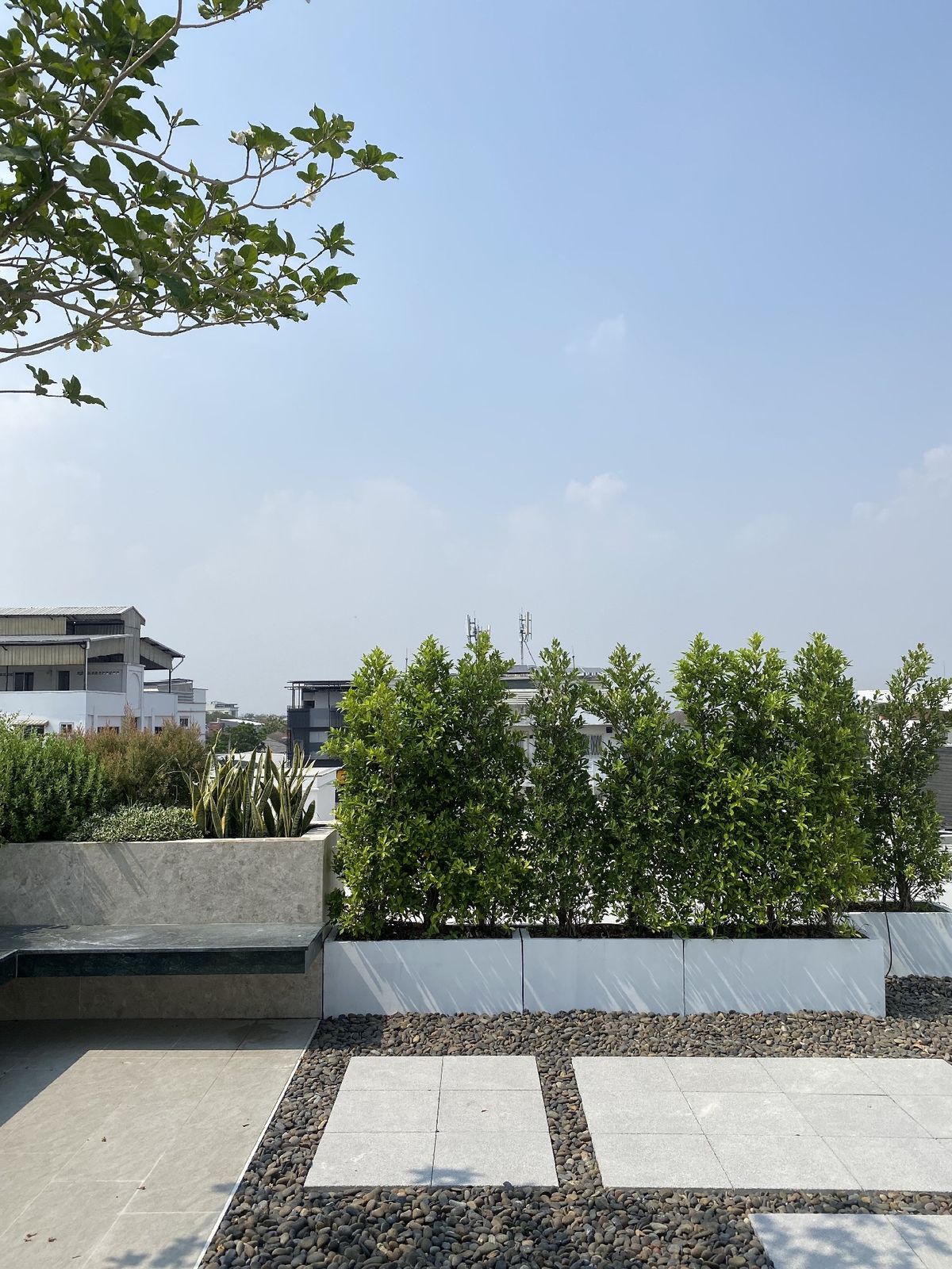 ขายบ้านเลียบทางด่วนรามอินทรา : ELIVA PRIVATE RESIDENCES นาคนิวาส37 ขายบ้านสุดหรู 