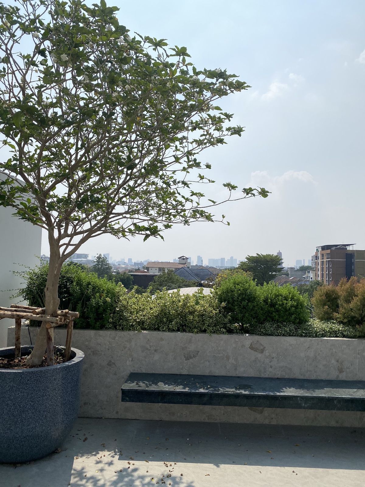 ขายบ้านเลียบทางด่วนรามอินทรา : ELIVA PRIVATE RESIDENCES นาคนิวาส37 ขายบ้านสุดหรู 