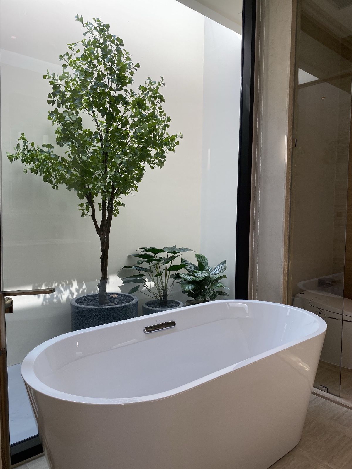 ขายบ้านเลียบทางด่วนรามอินทรา : ELIVA PRIVATE RESIDENCES นาคนิวาส37 ขายบ้านสุดหรู 