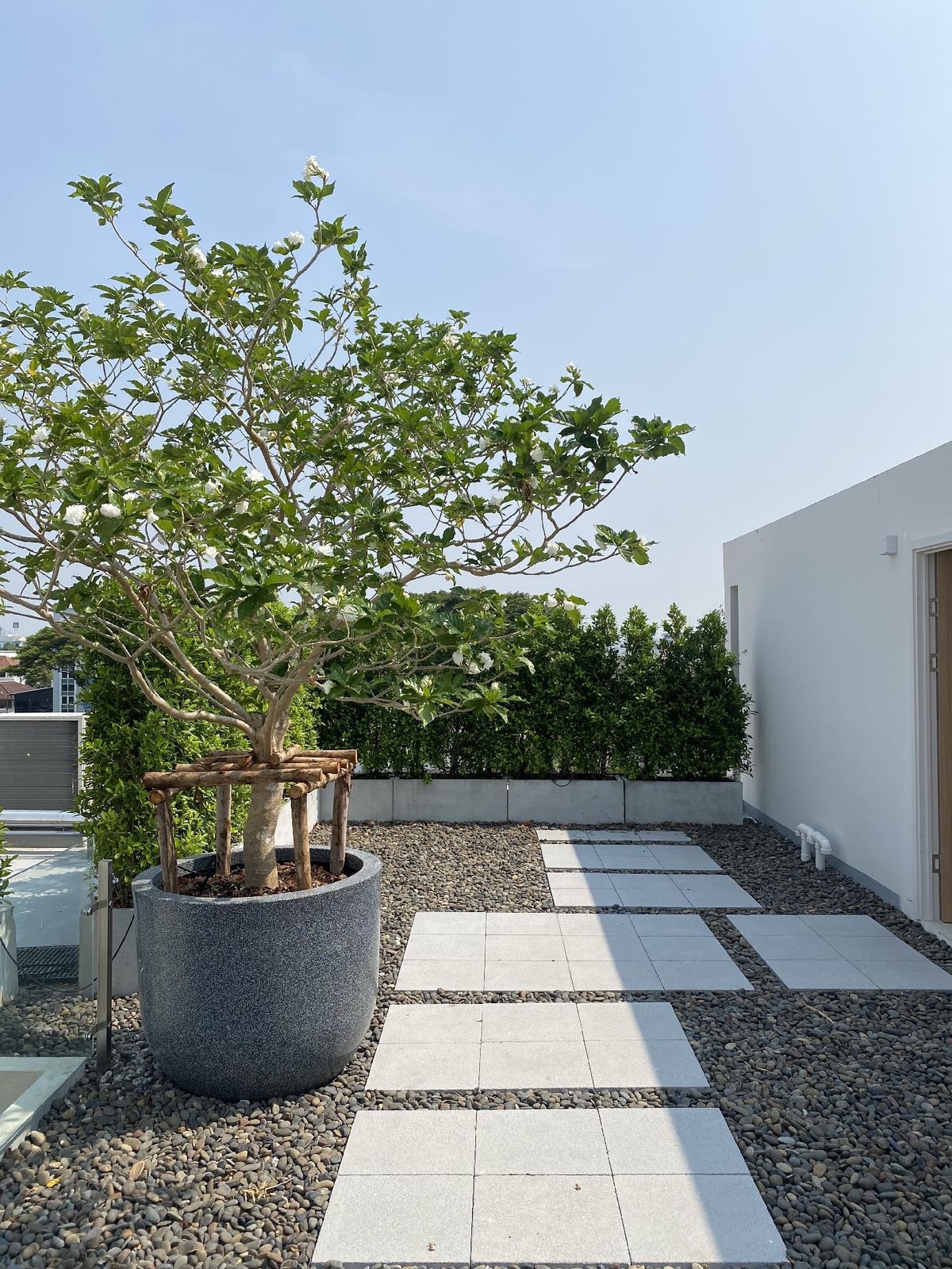 ขายบ้านเลียบทางด่วนรามอินทรา : ELIVA PRIVATE RESIDENCES นาคนิวาส37 ขายบ้านสุดหรู 