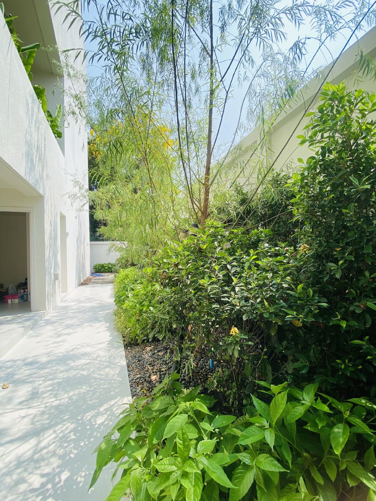 ขายบ้านเลียบทางด่วนรามอินทรา : ELIVA PRIVATE RESIDENCES นาคนิวาส37 ขายบ้านสุดหรู 