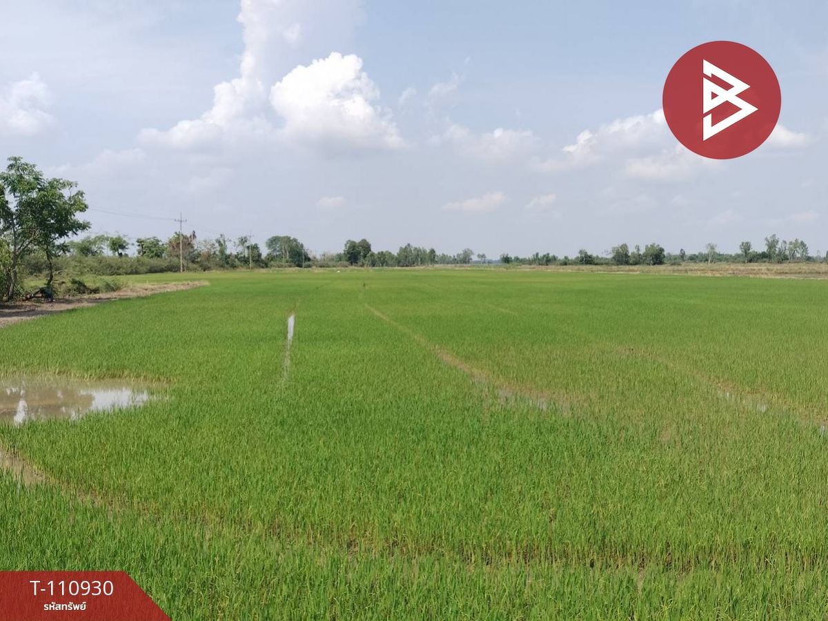 ขายที่ดินพิษณุโลก : ขายที่ดิน เนื้อที่ 23 ไร่ พรหมพิราม พิษณุโลก