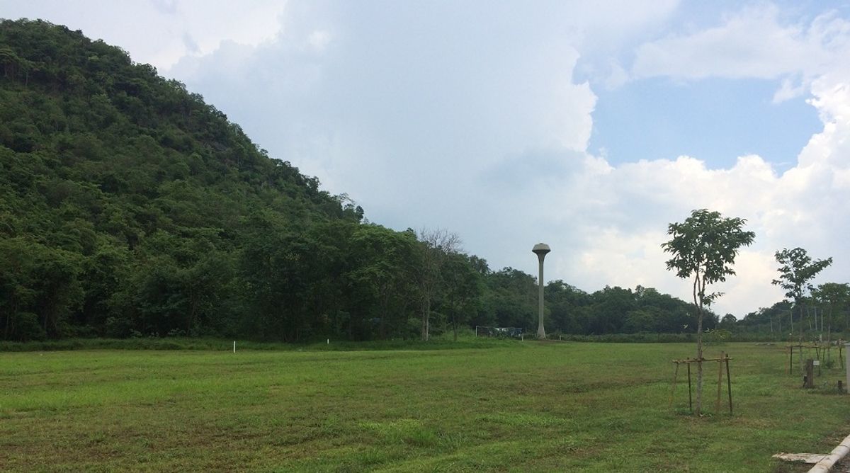 ขายที่ดินปากช่อง เขาใหญ่ : ขายที่ดิน เขาใหญ่ ปากช่อง ติดเขา โฉนด สวยมาก
