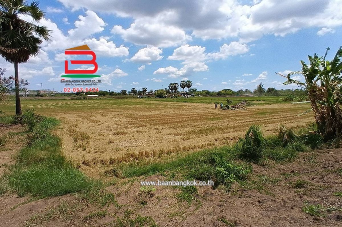 ขายที่ดินปทุมธานี รังสิต ธรรมศาสตร์ :  ที่ดินเปล่า ถนนปทุมธานี-บางปะหัน (347) เนื้อที่ 2-2-0 ไร่ ใกล้ตลาดพูนทรัพย์ ถนนปทุมธานี-บางปะหัน (347) ตำบลเชียงรากใหญ่ อำเภอสามโคก จังหวัดปทุมธานี