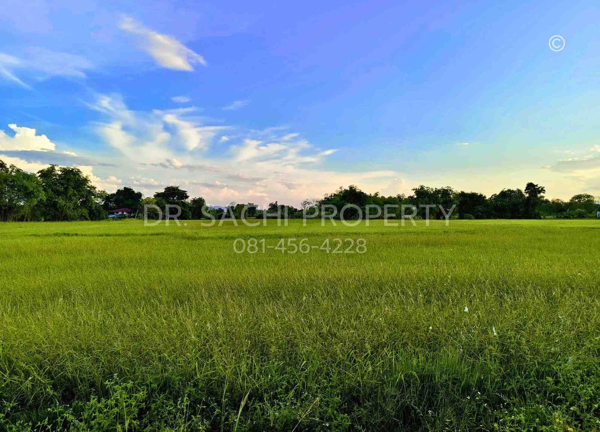 ขายที่ดินเชียงราย : ขายที่ดิน 5-3-66.2 ไร่ ใกล้ศูนย์ราชการ หลังสนามบิน เชียงราย 