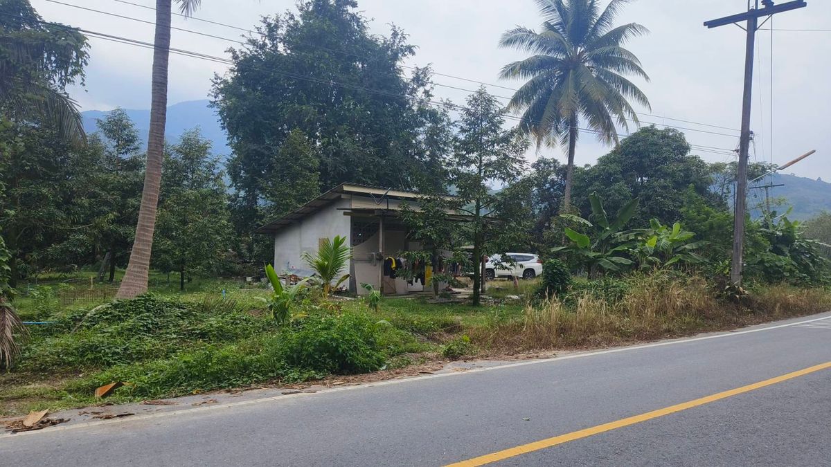 ขายที่ดินนครศรีธรรมราช : ขายด่วนที่ดิน ติดถนนดำ วิวเขา