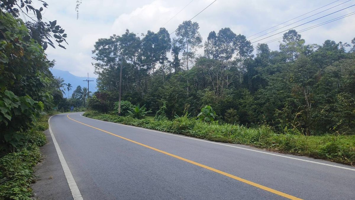 ขายที่ดินนครศรีธรรมราช : ขายด่วนที่ดิน ติดถนนดำ วิวเขา