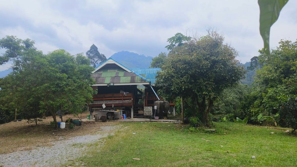 ขายที่ดินนครศรีธรรมราช : ขายด่วนที่ดิน ติดถนนดำ วิวเขา