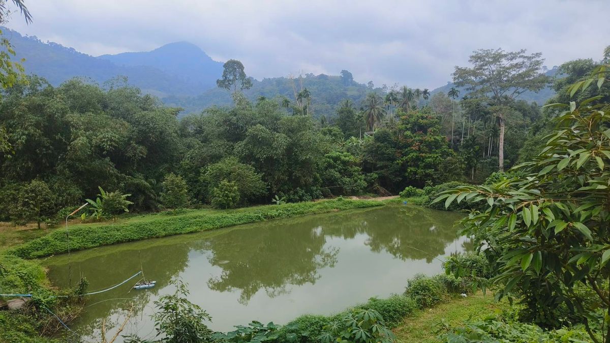 ขายที่ดินนครศรีธรรมราช : ขายด่วนที่ดิน ติดถนนดำ วิวเขา