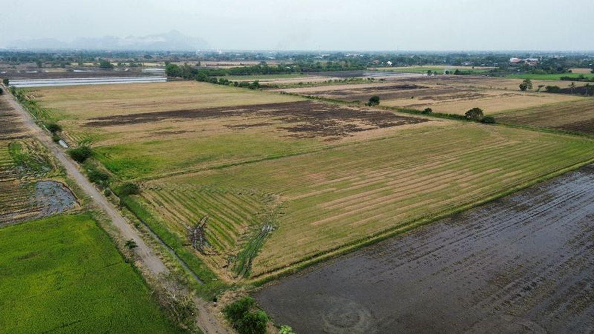 ขายที่ดินสระบุรี : ขายที่ดิน 9-1-23 ไร่ ตำบลโปร่ง อำเภอหนองโดน จังหวัดสระบุรี