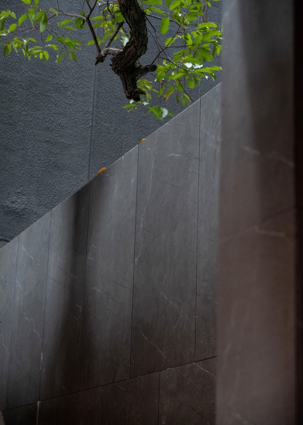 ขายบ้านวิภาวดี ดอนเมือง หลักสี่ : บ้านเดี่ยวหรู Cayla แบบ Pool Villa เจีย พูล เรสซิเดนซ์ 4 ชั้น พื้นที่ใช้สอย 734 ตร.ม. 4 ห้องนอน 5 ห้องน้ำ 4 ที่จอดรถ ตกแต่งครบพร้อมเฟอร์นิเจอร์และเครื่องใช้ไฟฟ้า พร้อมสระว่ายน้ำและลิฟต์ส่วนตัว ใกล้ รร.นานาชาติ Harrow และสนามบินดอนเมือง