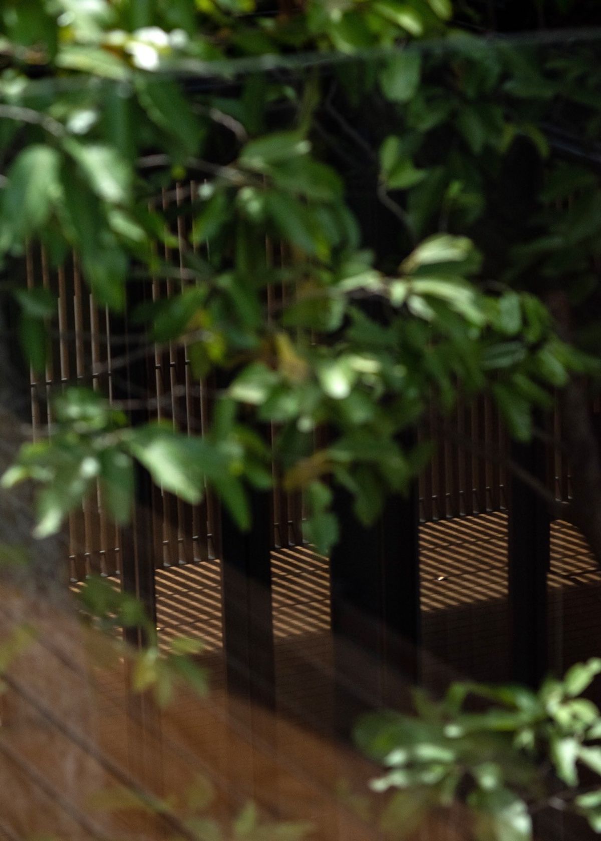 ขายบ้านวิภาวดี ดอนเมือง หลักสี่ : บ้านเดี่ยวหรู Cayla แบบ Pool Villa เจีย พูล เรสซิเดนซ์ 4 ชั้น พื้นที่ใช้สอย 734 ตร.ม. 4 ห้องนอน 5 ห้องน้ำ 4 ที่จอดรถ ตกแต่งครบพร้อมเฟอร์นิเจอร์และเครื่องใช้ไฟฟ้า พร้อมสระว่ายน้ำและลิฟต์ส่วนตัว ใกล้ รร.นานาชาติ Harrow และสนามบินดอนเมือง