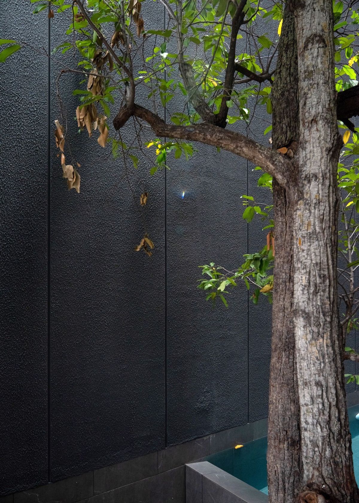 ขายบ้านวิภาวดี ดอนเมือง หลักสี่ : บ้านเดี่ยวหรู Cayla แบบ Pool Villa เจีย พูล เรสซิเดนซ์ 4 ชั้น พื้นที่ใช้สอย 734 ตร.ม. 4 ห้องนอน 5 ห้องน้ำ 4 ที่จอดรถ ตกแต่งครบพร้อมเฟอร์นิเจอร์และเครื่องใช้ไฟฟ้า พร้อมสระว่ายน้ำและลิฟต์ส่วนตัว ใกล้ รร.นานาชาติ Harrow และสนามบินดอนเมือง