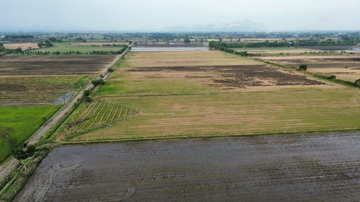 ขายที่ดินสระบุรี : ขายที่ดิน 9-1-23 ไร่ ตำบลโปร่ง อำเภอหนองโดน จังหวัดสระบุรี