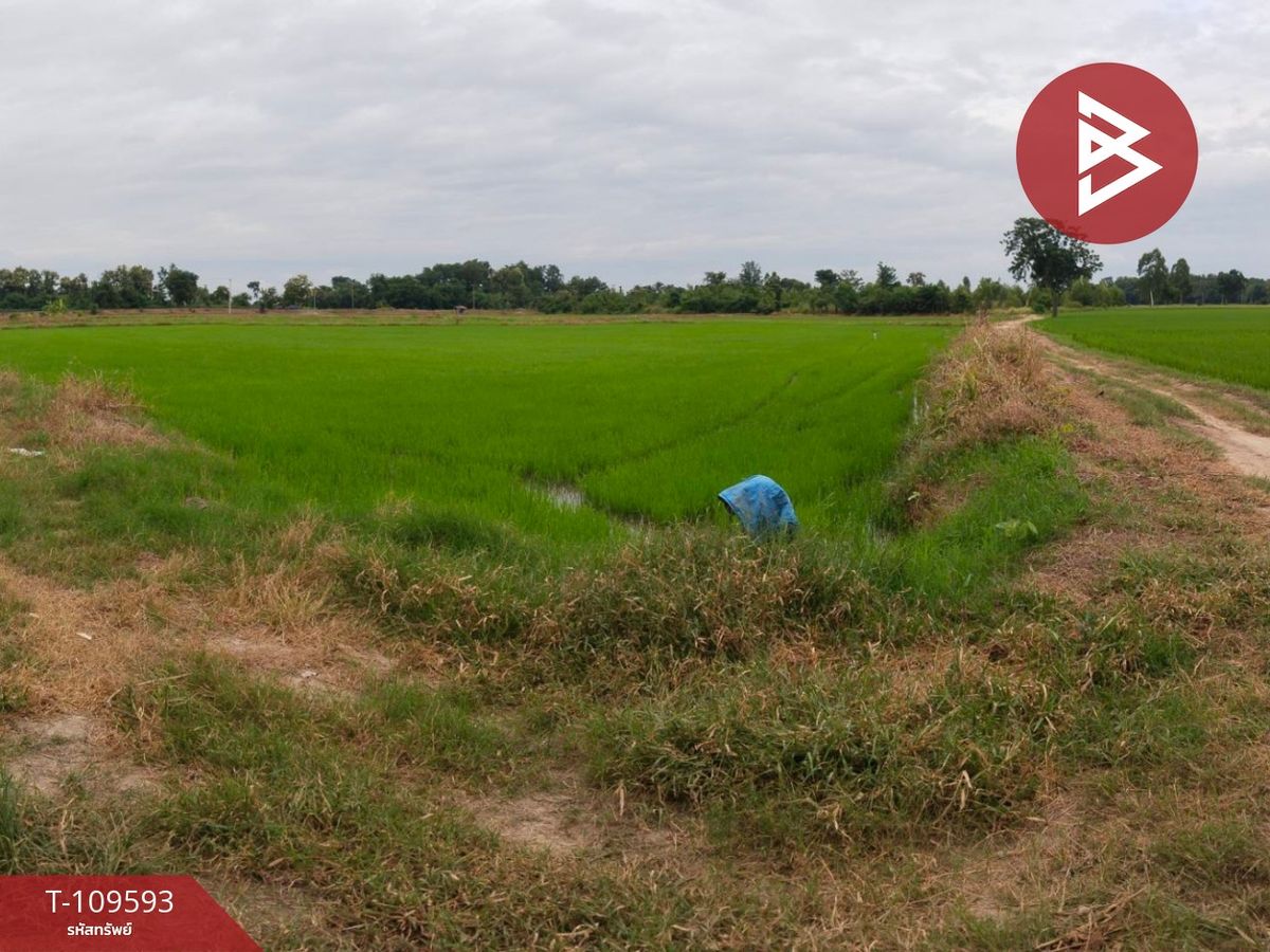 ขายที่ดินพิจิตร : ขายที่ดิน เนื้อที่ 11 ไร่ 33 ตร.วา โพธิ์ประทับช้าง พิจิตร