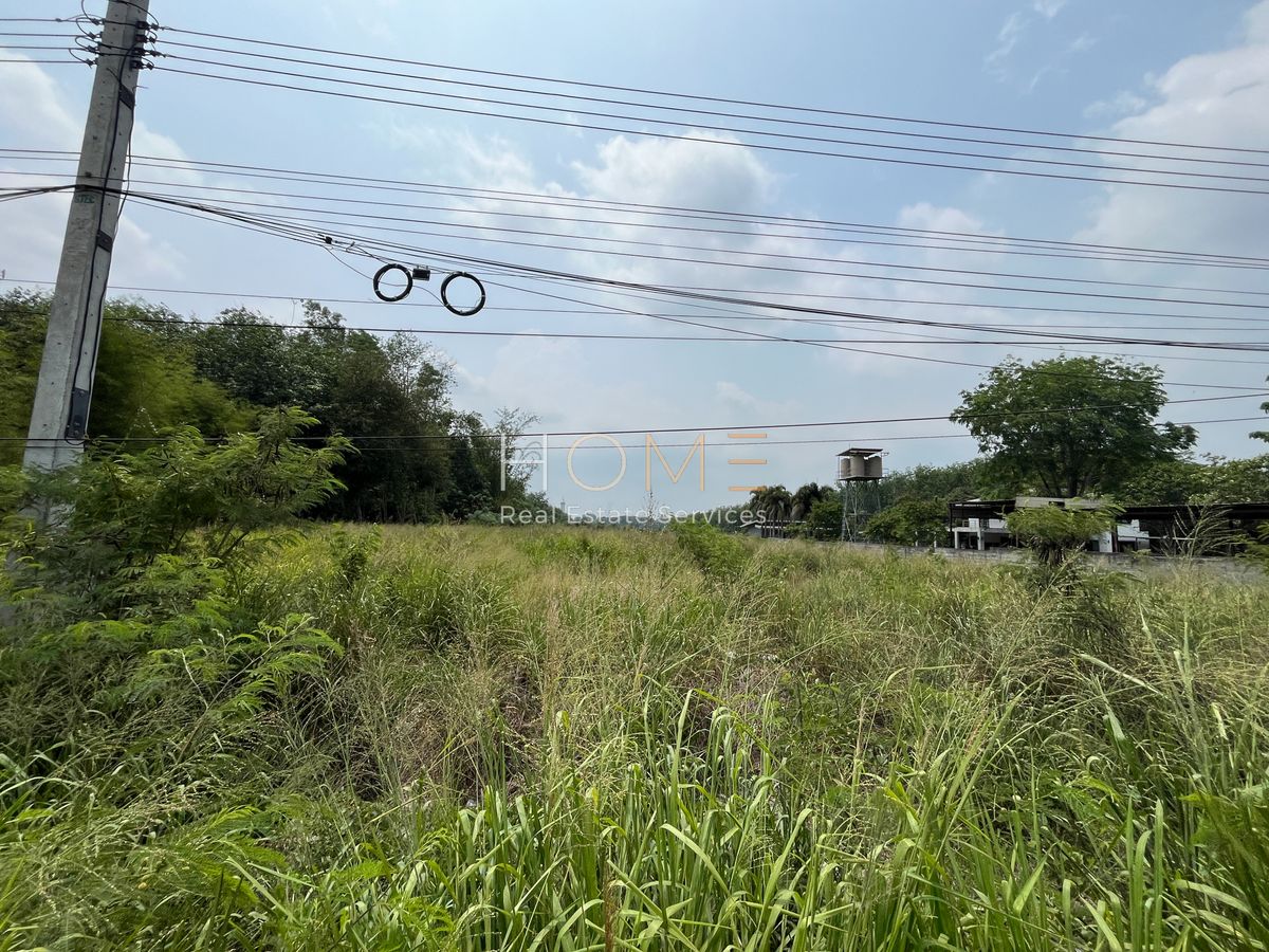 ขายที่ดินระยอง : ✨ 23 ไร่ แม่น้ำคู้ ติดถนน 3191 - ศักยภาพสูง ใกล้ WHA นักพัฒนาไม่ควรพลาด! ✨ (FOR SALE) NUT2015