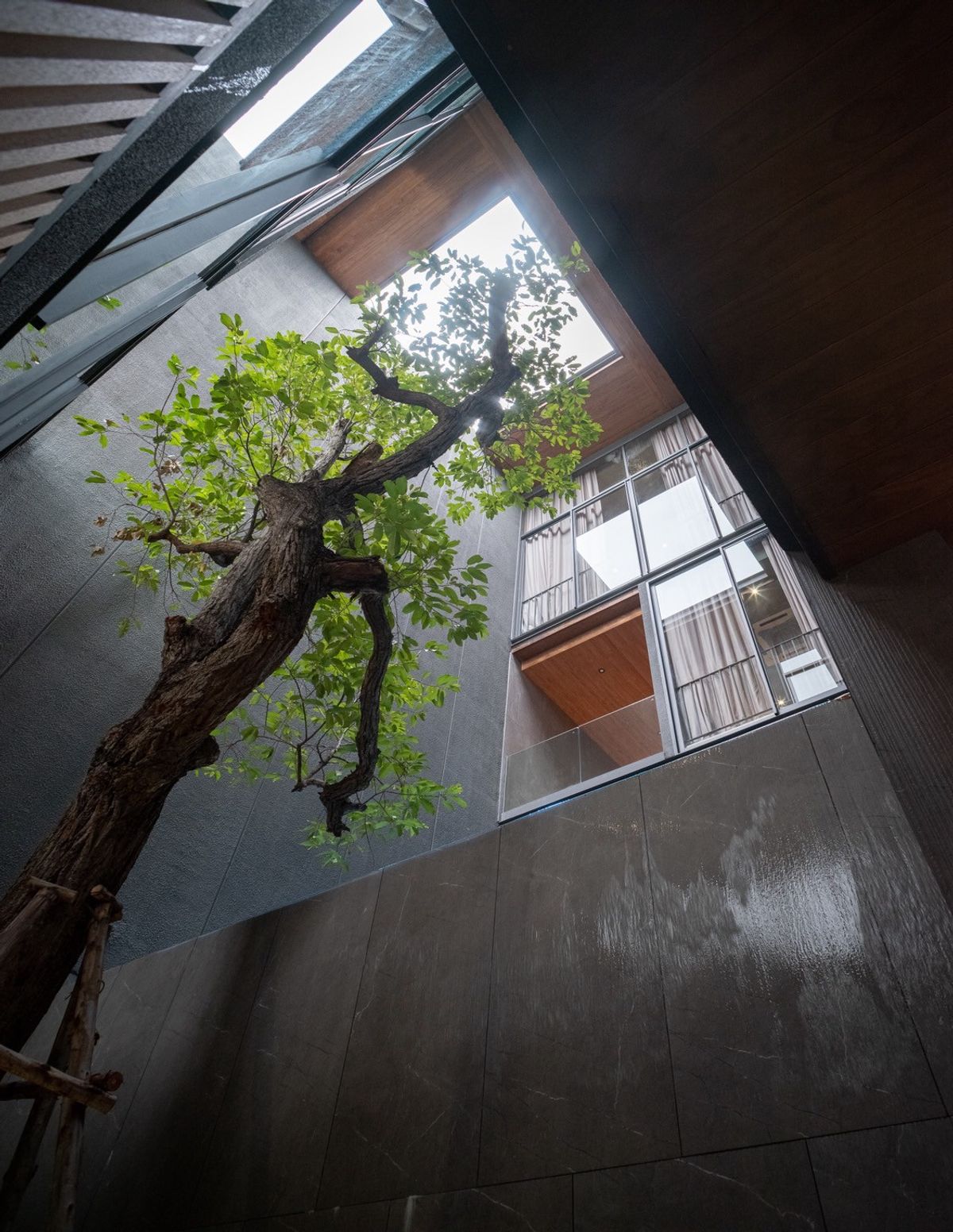 ขายบ้านวิภาวดี ดอนเมือง หลักสี่ : บ้านเดี่ยวหรู Cayla แบบ Pool Villa เจีย พูล เรสซิเดนซ์ 4 ชั้น พื้นที่ใช้สอย 734 ตร.ม. 4 ห้องนอน 5 ห้องน้ำ 4 ที่จอดรถ ตกแต่งครบพร้อมเฟอร์นิเจอร์และเครื่องใช้ไฟฟ้า พร้อมสระว่ายน้ำและลิฟต์ส่วนตัว ใกล้ รร.นานาชาติ Harrow และสนามบินดอนเมือง